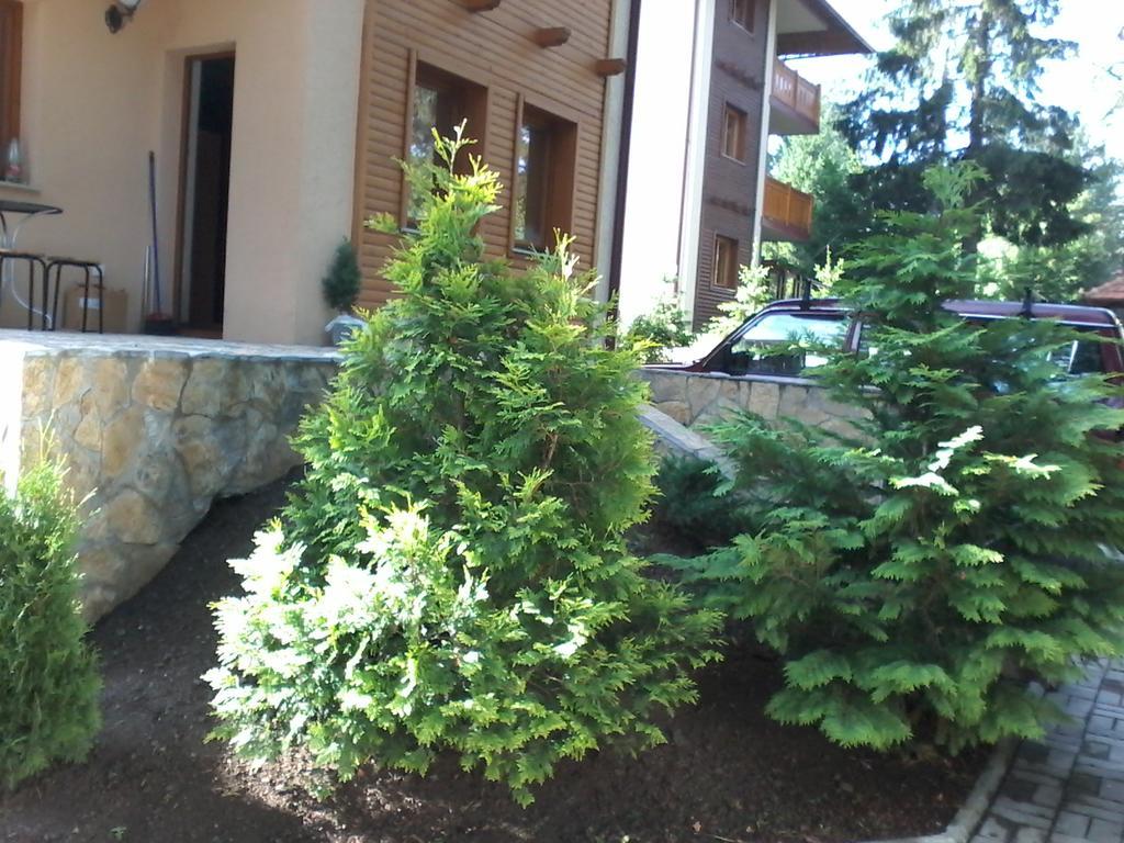 Apartment Joksimovic 兹拉蒂博尔 外观 照片