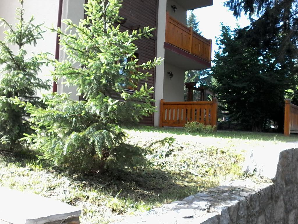 Apartment Joksimovic 兹拉蒂博尔 外观 照片