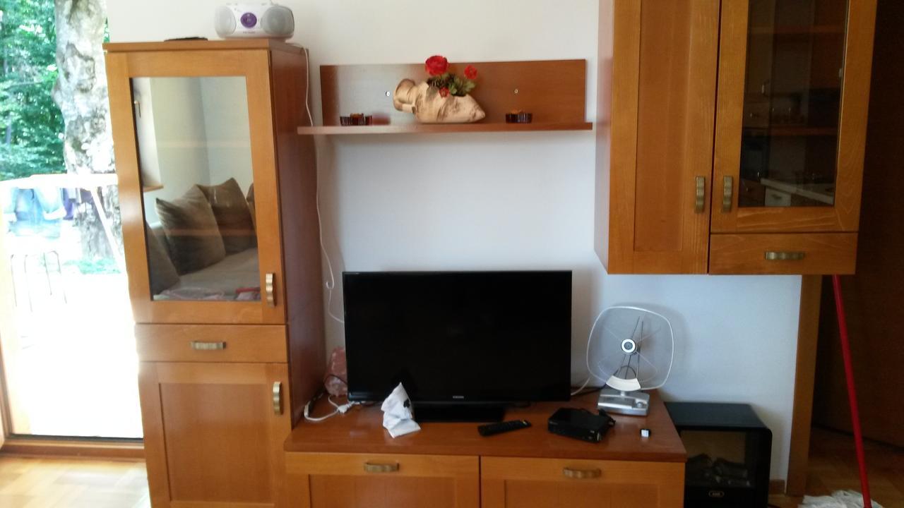 Apartment Joksimovic 兹拉蒂博尔 外观 照片