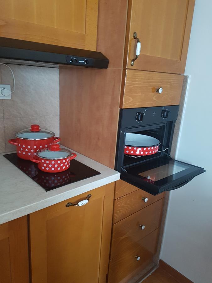 Apartment Joksimovic 兹拉蒂博尔 外观 照片