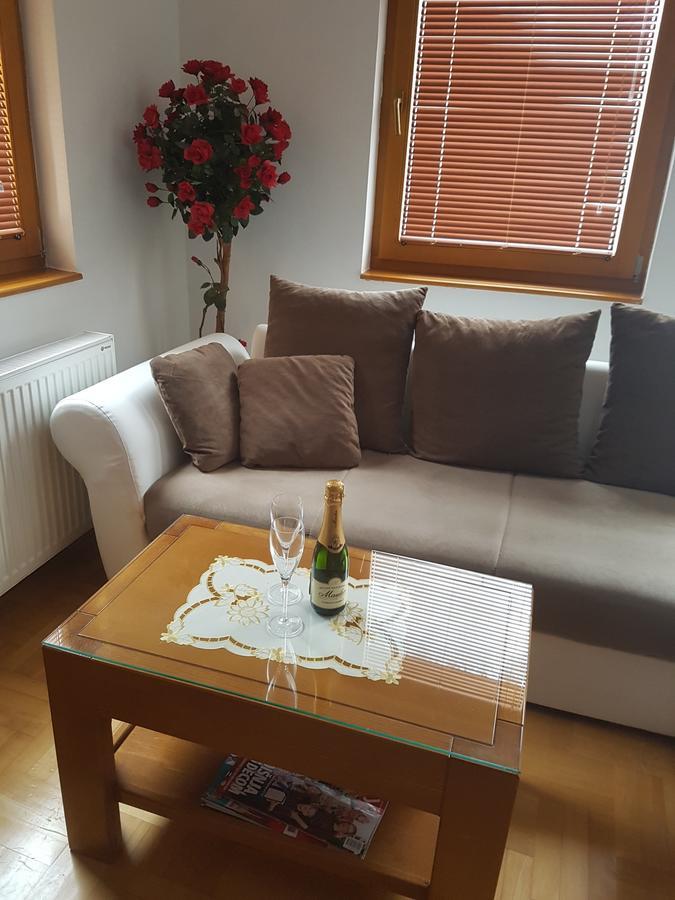 Apartment Joksimovic 兹拉蒂博尔 外观 照片